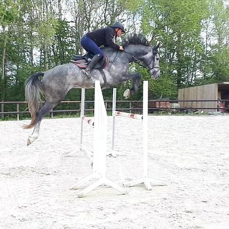 Gite Du Haras De Vales Moult Exterior foto