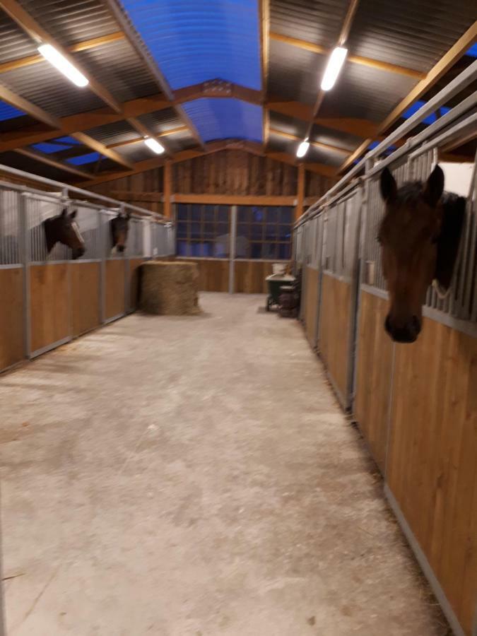 Gite Du Haras De Vales Moult Exterior foto